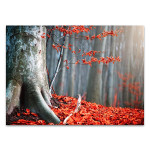 Autumn Fallen Leaves Wall Print