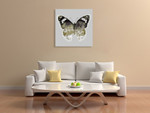 Painted Butterfly I Wall Art Print on the wall