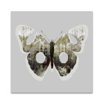 Painted Butterfly II Wall Art Print