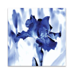Blue Ice Iris Wall Art Print