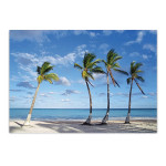 Beach Palm Trees Wall Art Print