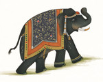 India Elephant I Wall Art Print