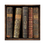 In The Library II Wall Art Print