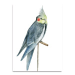 Bird I Wall Art Print