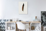 Painted Feather C Wall Art Print on the wall