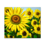 Sunflowers Two