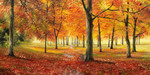 Autumn Impression Wall Art Print