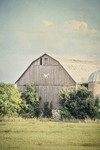 Late Summer Barn II Wall Art Print