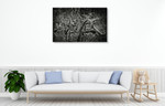 Lowland Winter Forest Wall Art Print on the wall