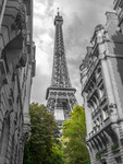 Paris My Love Wall Art Print