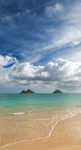 Lanikai Vertical Wall Art Print