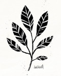 Botanical Sketches III Wall Art Print
