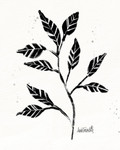 Botanical Sketches V Wall Art Print