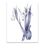 Dark Blue Botanical II Wall Art Print