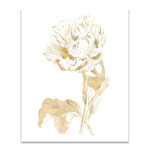 Gilded Botanical VII Wall Art Print