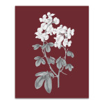 Pomegranate Botanical III Wall Art Print