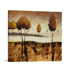 Stretched Ready to Hang (Gallery Wrap Inner Frame)