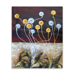 Zarah Collection 28