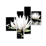 White Lotus