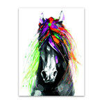 Colorful Horse