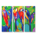 Colorful Birds - 3panels