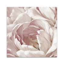 Intimate Blush II Wall Art Print