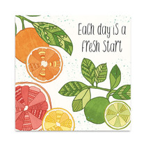 Citrus Splash IV Wall Art Print