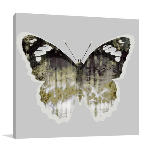 Painted Butterfly I Wall Art Print 