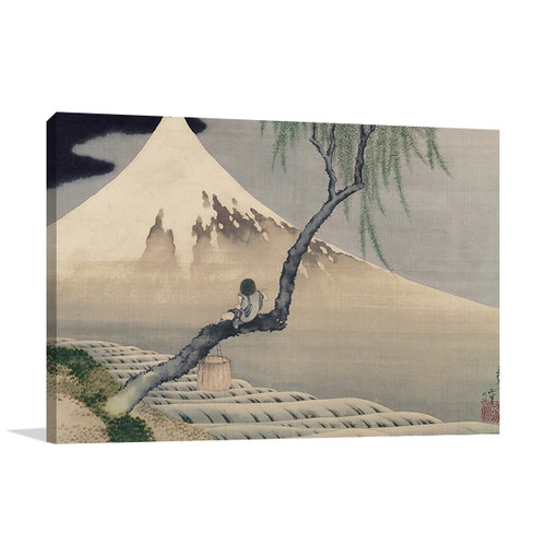 Mount Fuji View Wall Art Print