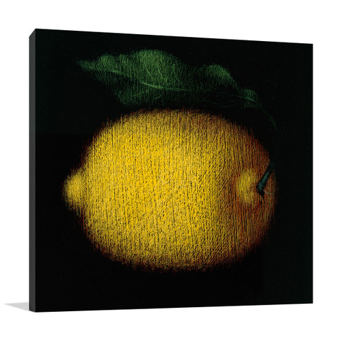 Lemon Wall Art Print