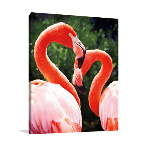 Flamingo II Wall Art Print