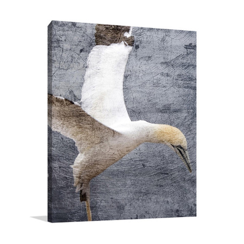  In Flight I Wall Art Print