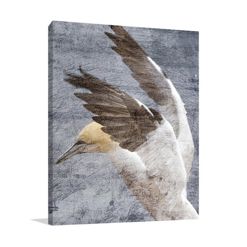 In Flight II Wall Art Print