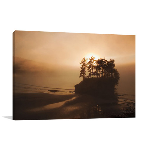Last Light Wall Art Print