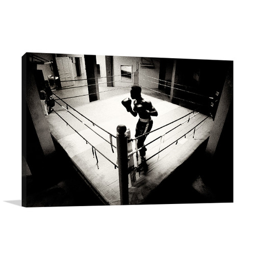 Shadow Boxer Wall Art Print