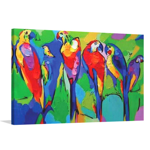 Colorful Birds