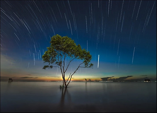 Shooting Stars Wall Art Print