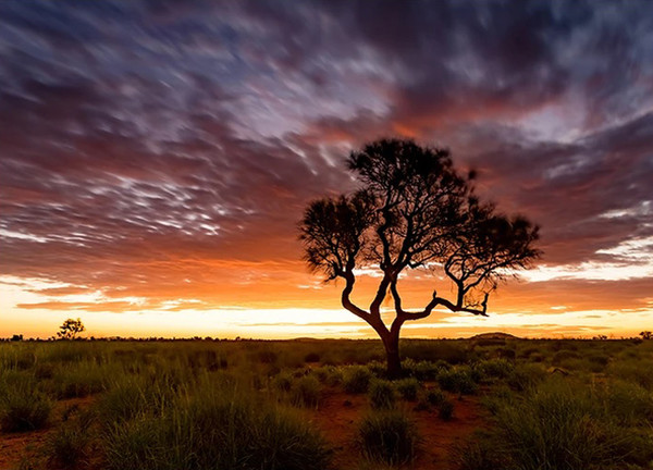 Sunset at Pilbara Region Australia | Wall Canvas Print