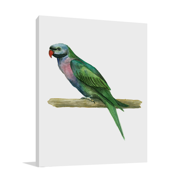 Bird IV Wall Art Print