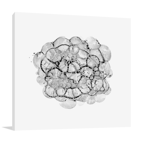 Cellular Cloud B Wall Art Print