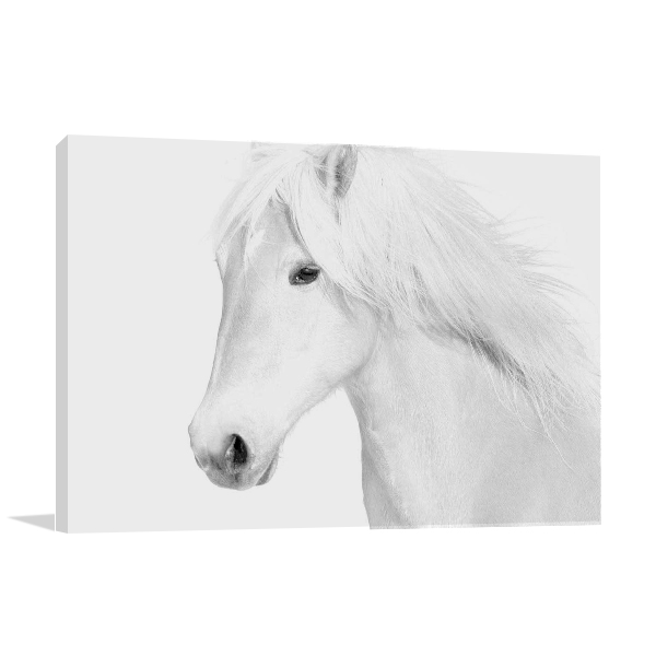 Classic White Wall Art Print