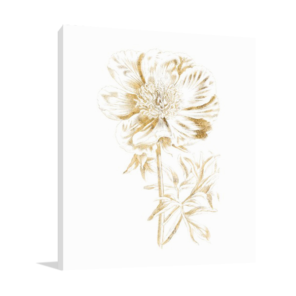 Gilded Botanical VIII Wall Art Print