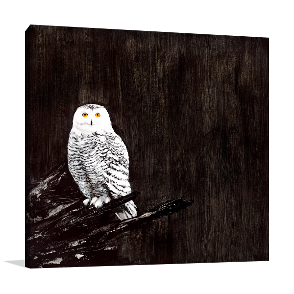 Owl Wall Art Print