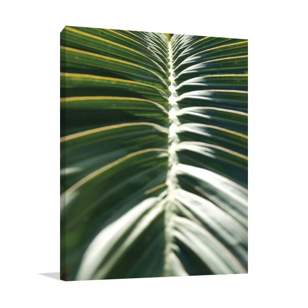 Palm Detail II Wall Art Print