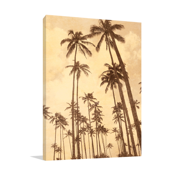 Palm Vista V Wall Art Print