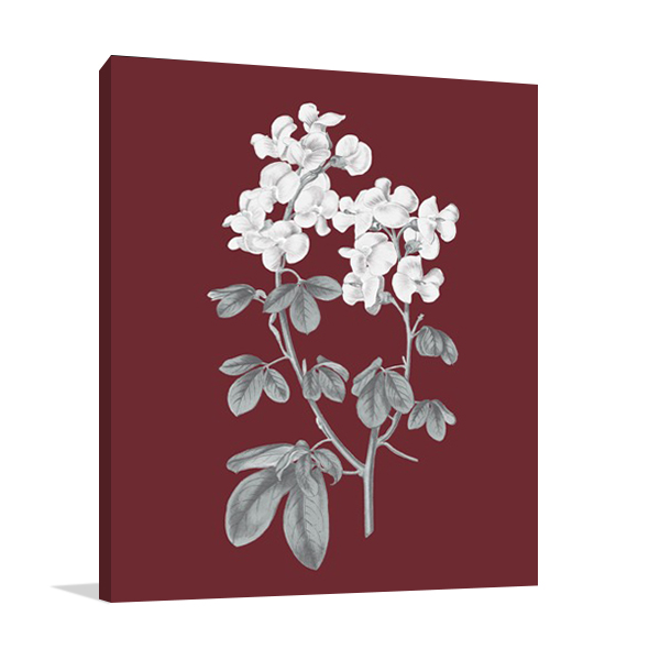 Pomegranate Botanical III Wall Art Print