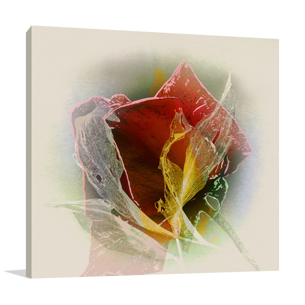 Rose Wall Art Print