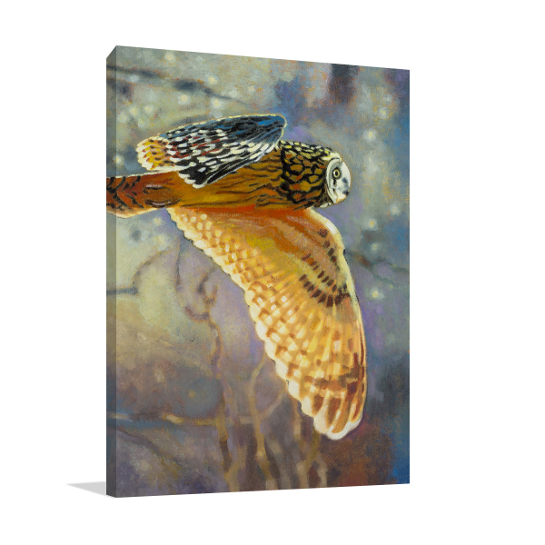 Short Eared Owl Wall Art Print