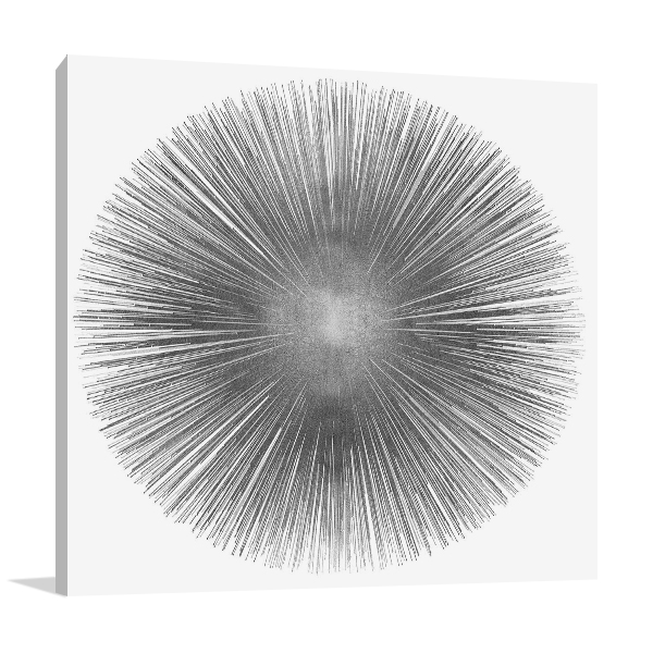 Silver Sunburst I Wall Art Print