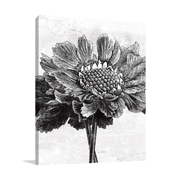 Spa Botanical I BW Wall Art Print